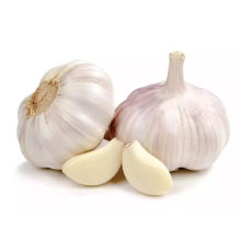 Fresh Pure White Garlic Red Garlic From Chinese Supplier High Quality